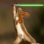 Squirrel With A Lightsaber