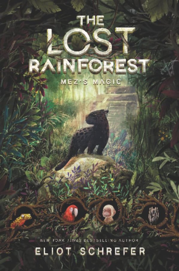YAYBOOKS! January 2018 Roundup - The Lost Rainforest: Mez's Magic