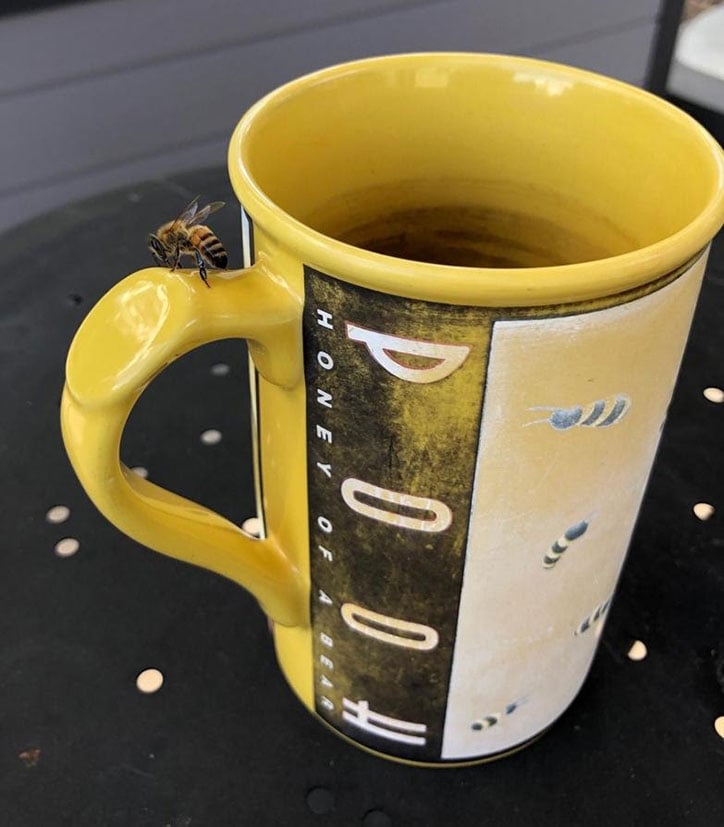 A bumblee perched on the handle of a yellow coffee mug