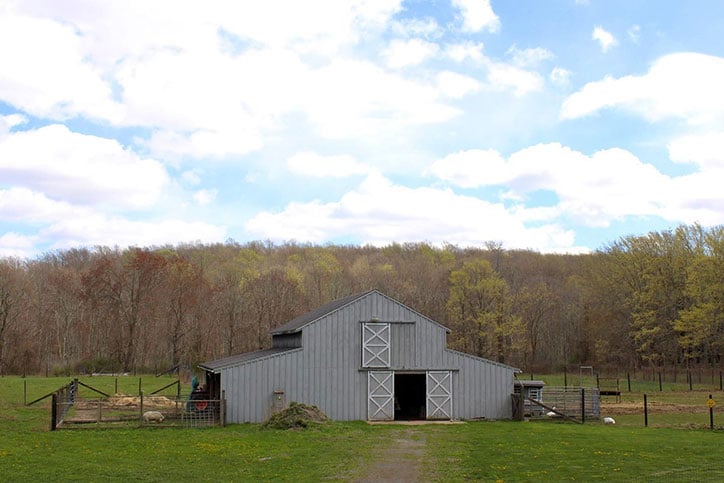 A grey barn in a grassy field surrounded by trees