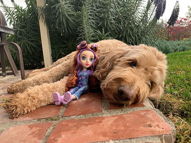 Daisy from the B-Kind Dolls snuggling with a real labradoodle in a grassy yard