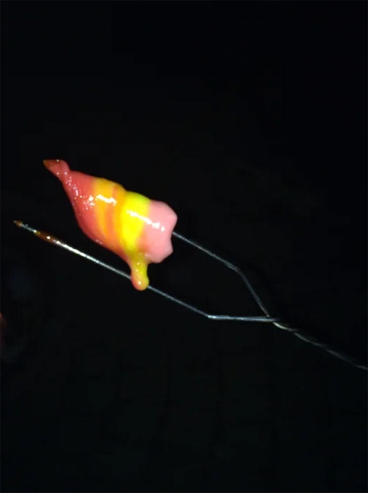Photo of four melted Starburst that have been roasted on a camping skewer