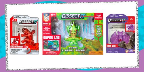 Dissect & Analyze Animals With Our Dissect-It Kit Giveaway