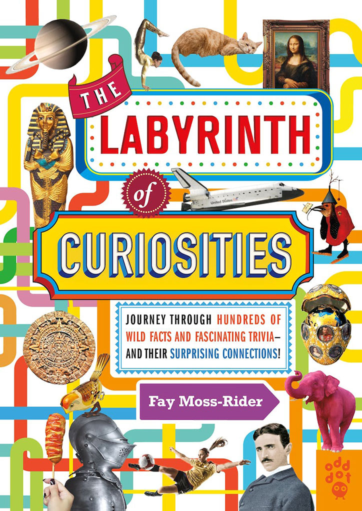 Book cover for The Labyrinth of Curiosities by Fay Moss-Rider