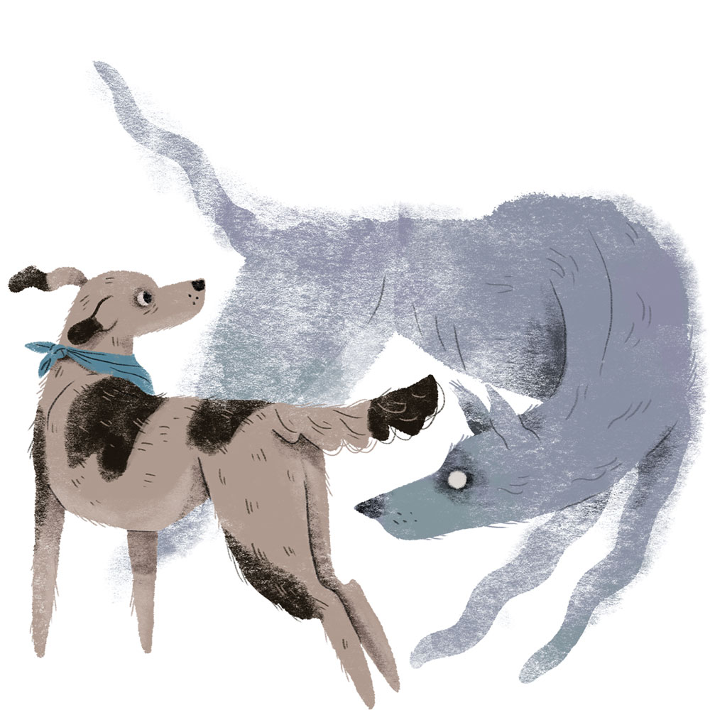 Illustration of a dog and a ghost dog sniffing each other
