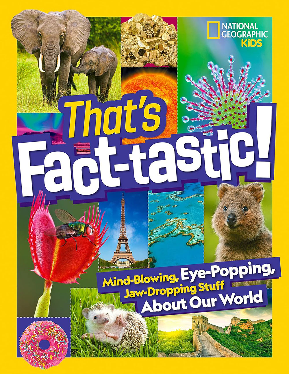 Book cover for That's Fact-tastic!
